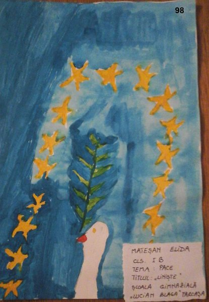 98_Eliza MATESAN_Farcasa.jpg